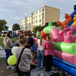 pokaż obrazek - 